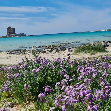 Willa Piccola Residenza Marina Sant Isidoro  Zewnętrze zdjęcie